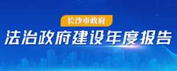 法治政府建设年度报告专题